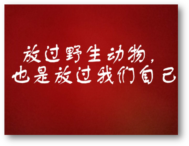 image005.png