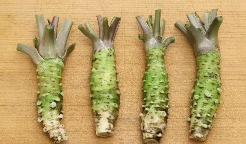 太上头了🤤,这个蘸料经管人研发的! 第 3 张 太上头了🤤,这个蘸料经管人研发的! 第 3 张