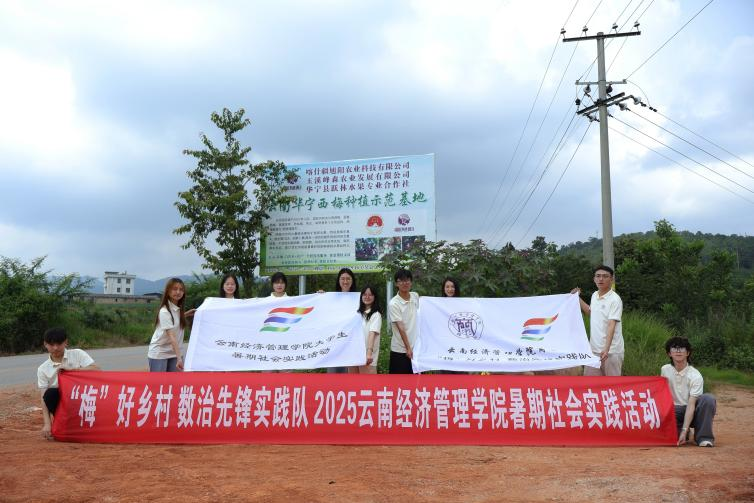 暑期社会实践|“梅”好乡村，果见活力 第 3 张