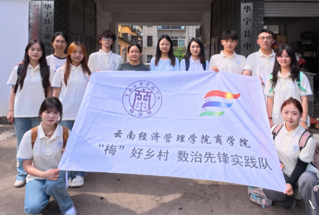 暑期社会实践│“梅”好华宁，青春数治 第 2 张