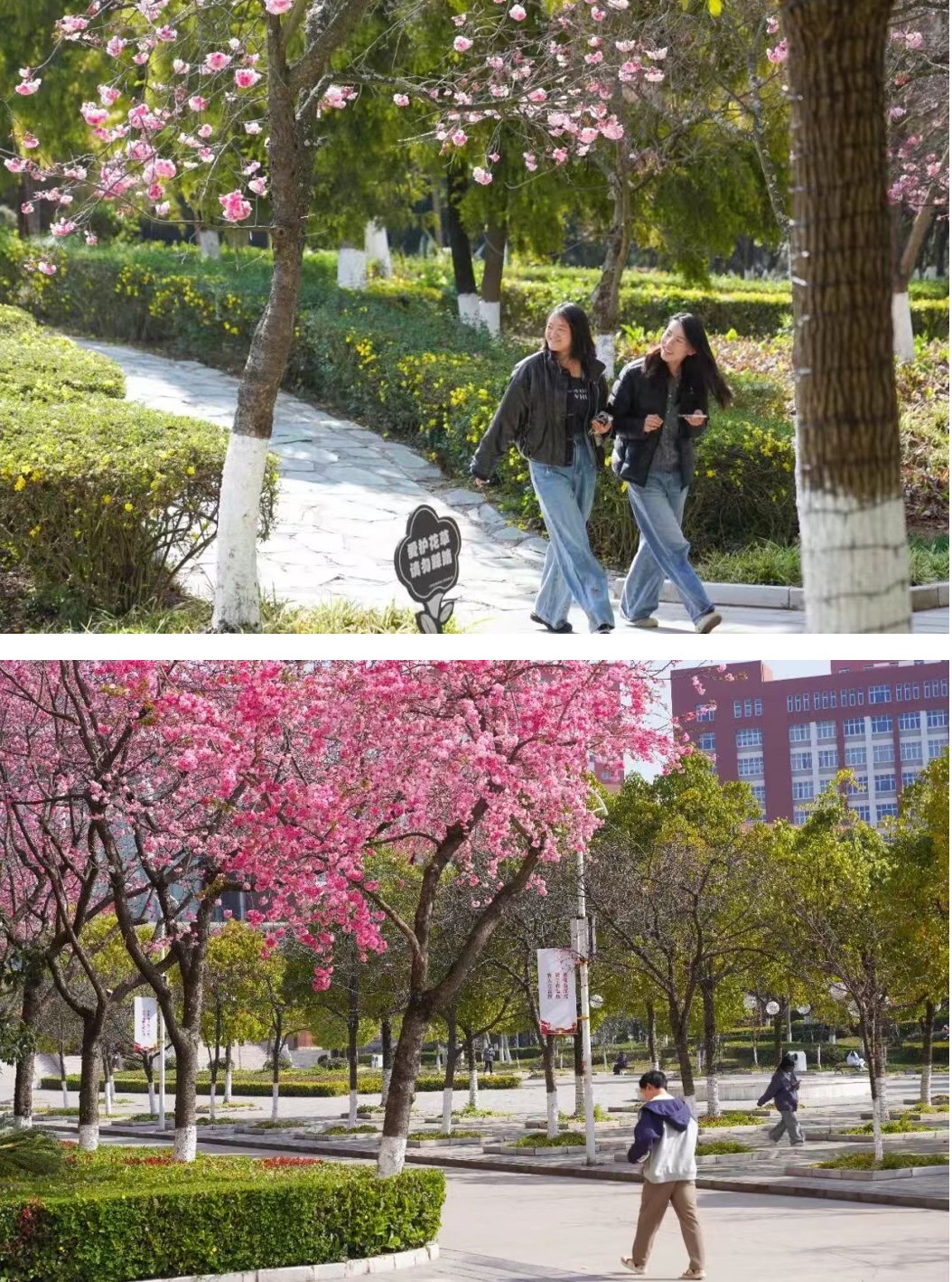 今天,云经管开学第一天! 第 14 张 今天,云经管开学第一天! 第 14 张