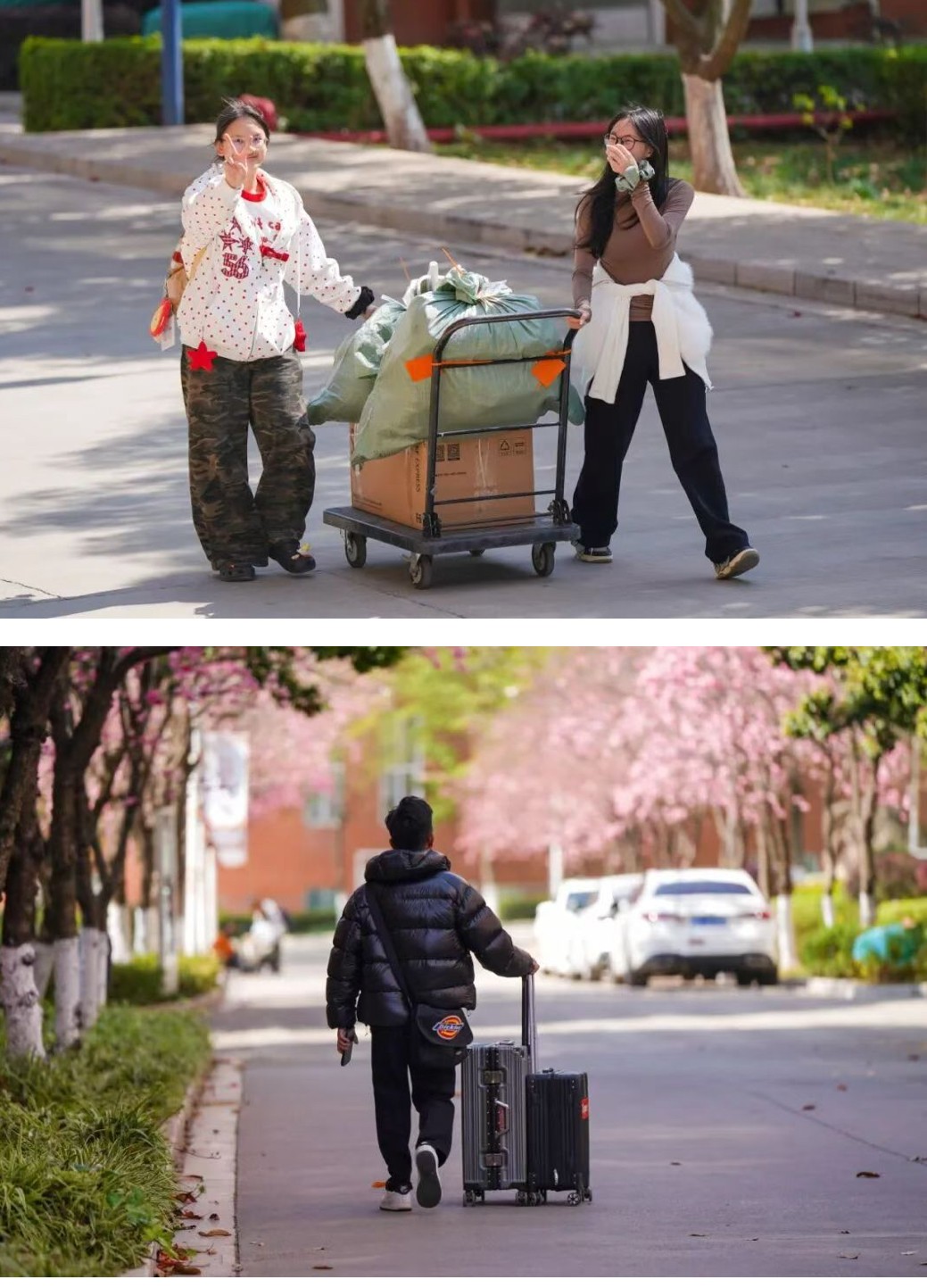 今天,云经管开学第一天! 第 3 张 今天,云经管开学第一天! 第 3 张