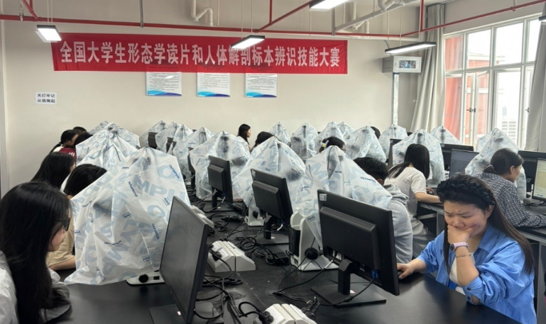 云经管学子在全国高等医学院校大学生数字形态学读片和数字解剖标本辨识技能大赛中斩获佳绩！ 第 2 张
