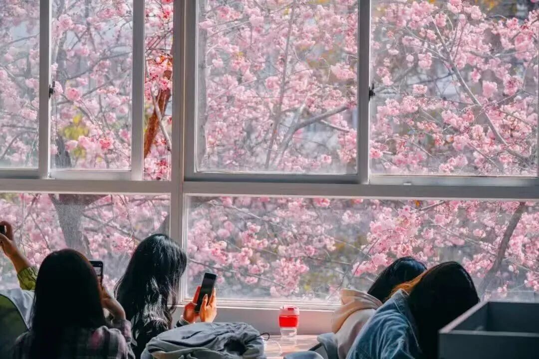 排名揭晓！云经管全国10强‼️ 第 15 张